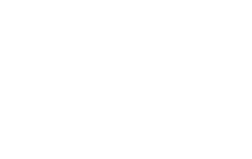 Stephen Kurshner logo